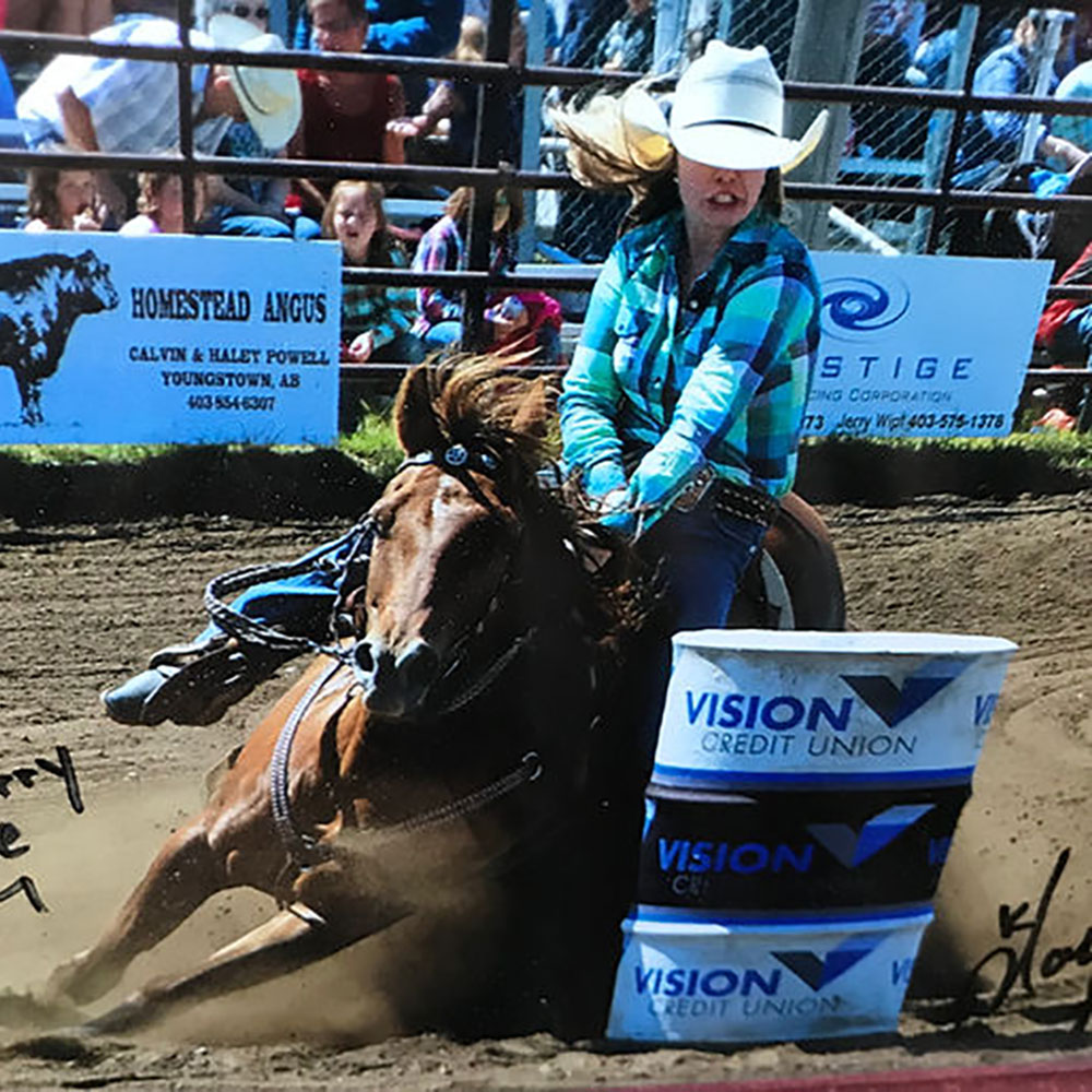 Stanton Rodeo Arena Client Testimonials - Stanton Equine